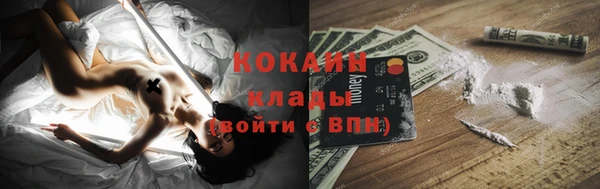 прущие грибы Остров