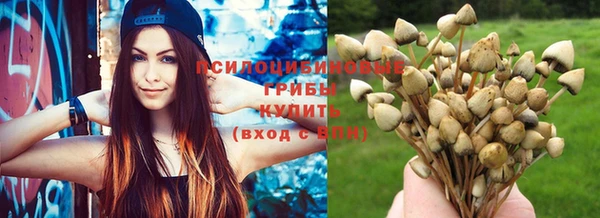 метамфетамин Осташков
