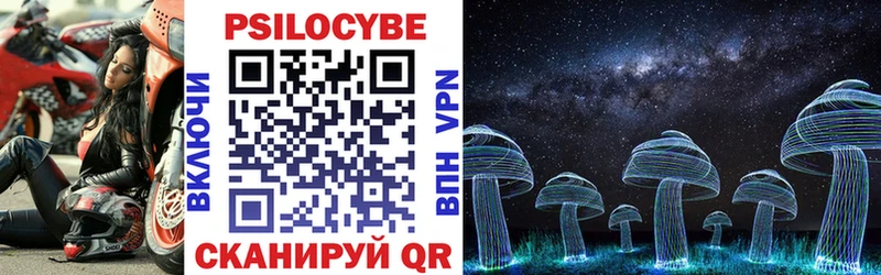 Галлюциногенные грибы Psilocybine cubensis  Магадан 