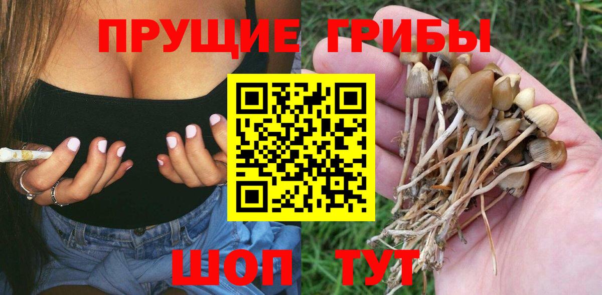 КОКАИН  ГАШ  МЕТАДОН  Вход с VPN  Магадан  НБОМе  МАРИХУАНА  Где продают наркотики?  Alpha-PVP СОЛЬ кристаллы  Мефедрон кристаллы  Меф 